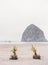 Vertical calm seascape with big rocks and romantic flower decoration on the beach