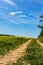 Vertical capture of a country road through a yellow rapeseed field