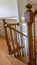 Vertical Carpeted staircase with brown handrail inside a house with shiny wooden floor