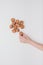 Vertical, child hand with many walnuts  on white background,