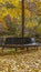 Vertical Circular seat and bench at a park amid lush trees viewed on a sunny day