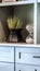 Vertical Close up of cabinet with ornamental plants and hourglass on the display shelves