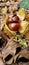 Vertical close-up of Chinese chestnuts (Castanea mollissima) in a forest