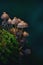 Vertical, close-up shot of a bunch of mushrooms on a mossy rock with a blurred background