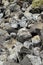 Vertical close-up shot of a volcanic rocky pattern