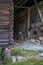 Vertical closeup of adorable Labradoodle on a leash standing by wooden barn with tools on the wall