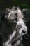 Vertical closeup of beautiful grey Irish Wolfhound