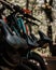 Vertical closeup of bicycles parked in a row on the street