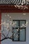 Vertical closeup of a cherry blossom tree, house background, white and red walls, sunlit roof