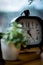 Vertical closeup of a clock on the table with a succulent