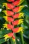 Vertical closeup of a false bird of paradise flower under the sunlight at daytime