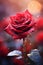 vertical closeup of a gorgeous red rose on blurred dreamy background, Valentine\\\'s day or wedding background