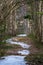 Vertical closeup of a narrow snowy path in the forest with deciduous trees around