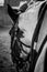 Vertical closeup shot of an adorable horse in a stable in grayscale