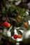 Vertical closeup shot of Arbutus unedo berries