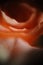 Vertical closeup shot of a beautiful mesmerizing rose
