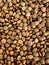 Vertical closeup shot of black masoor dal uncooked