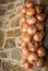 Vertical closeup shot of a bunch of onions hanging and drying on stone wall