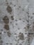 Vertical closeup shot of footsteps and bird footsteps in the snow