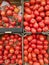Vertical closeup shot of fresh harvested tomatoes - perfect for an article about agriculture