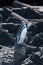 Vertical closeup shot of a Galapagos penguin standing on a rock