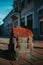 Vertical closeup shot of a grey and brown rucksack on the ground in the street