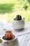 Vertical closeup shot of pair of a moon cacti in cute ceramic pots on an outdoor table