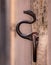 Vertical closeup shot of a rusty hook with a snake design and selective focus