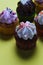 Vertical closeup shot of small cupcakes with colorful creams