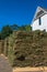 Vertical Closeup of Sod with House