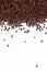 Vertical coffee abstraction. roasted brown coffee beans scattered on a white background. grains fall from the top of the frame and