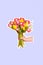Vertical collage image of arm hold bouquet tulips flowers like notification isolated on creative background