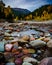 Vertical of colorful pebbles in Flathead River in autumn in Montana