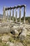 Vertical composition columns of the ancient temple of Zeus at Euromos