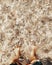 Vertical composition of tourist feet under water in transparent ocean beach - summer holiday vacation man enjoying beach