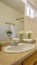 Vertical Cozy home bathroom interior decorated with lush green plants and white flowers