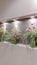 Vertical crop Flower arrangements in a recessed alcove interior