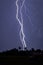 Vertical of a dark silhouette of palms as intense electrifying lightning bolt strikes the ground.