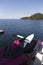 Vertical day shot of a pink jet ski wave runner on the back of a catamaran yacht with a green island and hills, calm sea water and