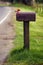 Vertical Daytime Rural Mailbox Outgoing Mail