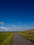 Vertical distant shot of a rural roadway with relaxing scenery