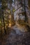 Vertical of a downhill rocky hiking trail along Blanc-Martel cliffs in La Palud-sur-Verdon, France