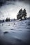 Vertical dramatic landscape of white snowy mountain with trees