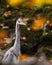 Vertical dramatic portrait of a gray heron in a forest