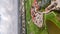 Vertical drone video Hallandale Beach Florida landscape 2023