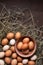 Vertical Easter background with Brown eggs in a nest