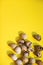 Vertical easter background with quail eggs on yellow background