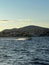 Vertical of an electric motor boat splashing a water trail with a coastal cityscape in the back