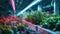 Vertical Farm indoor hydroponic farm, artificial plant lighting, innovation, vibrant greens and metallics.