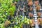 Vertical farm little plant pattern in pot cultivation